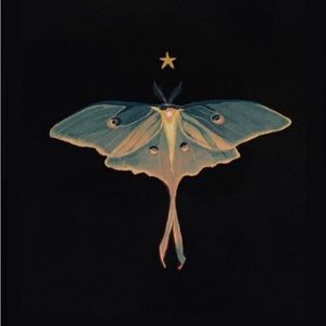 Meet your Posher, Abigail